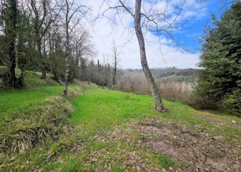 Foto 21 - Rustic Fucecchio - photo 21