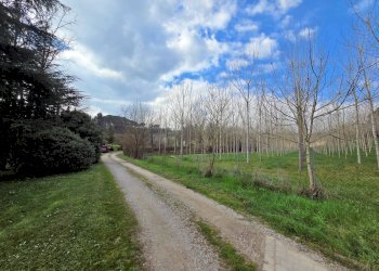 Foto 22 - Rustic Fucecchio - photo 22