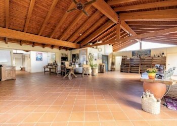 Foto 2 - Rustico Siena, Siena - foto 2