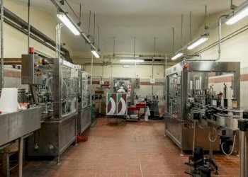 Foto 3 - Rustico Siena, Siena - foto 3