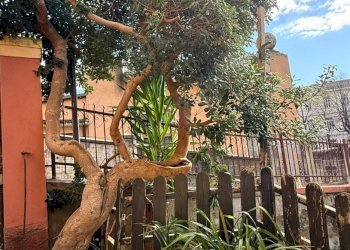 Foto 2 - Independent house Salita Aquileila
 
1, Savona - photo 2