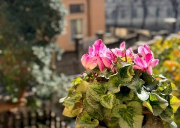 Foto 28 - Independent house Salita Aquileila
 
1, Savona - photo 28