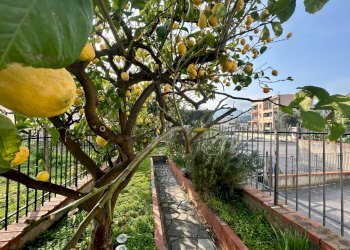 Foto 8 - Two-room apartment Via San Francesco, Pietra Ligure - photo 8