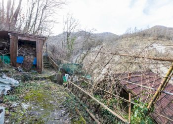 Foto 16 - Casa indipendente Località Fascia di Carlo 16 Torriglia
 
16, Torriglia - foto 16