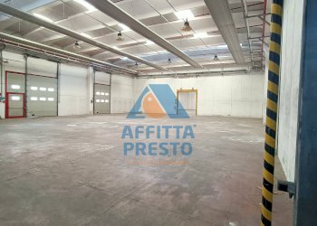 Foto 1 - Capannone Capraia e Limite - foto 1