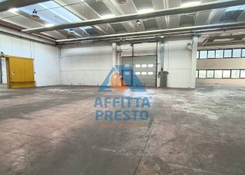 Foto 5 - Capannone Capraia e Limite - foto 5