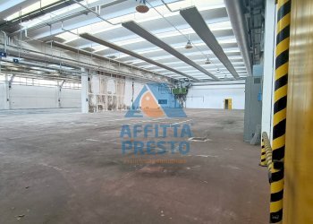 Foto 6 - Capannone Capraia e Limite - foto 6