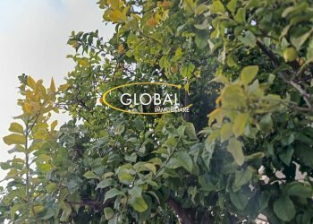 Foto 17 - Three-room apartment Ancona - photo 15