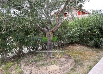 Foto 81 - Villa via delle Cerase, Colonnella - photo 81