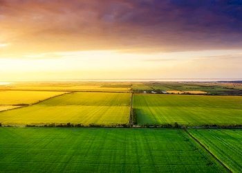 Foto 3 - Terreno agricolo Bellusco - foto 3