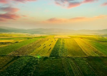 Foto 5 - Terreno agricolo Bellusco - foto 5