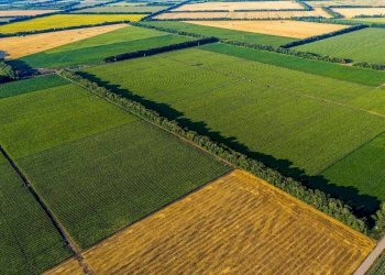 Foto 6 - Terreno agricolo Bellusco - foto 6