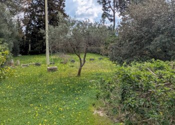 Foto 30 - Villa CONTRADA FEGOTTO, Floridia - photo 30