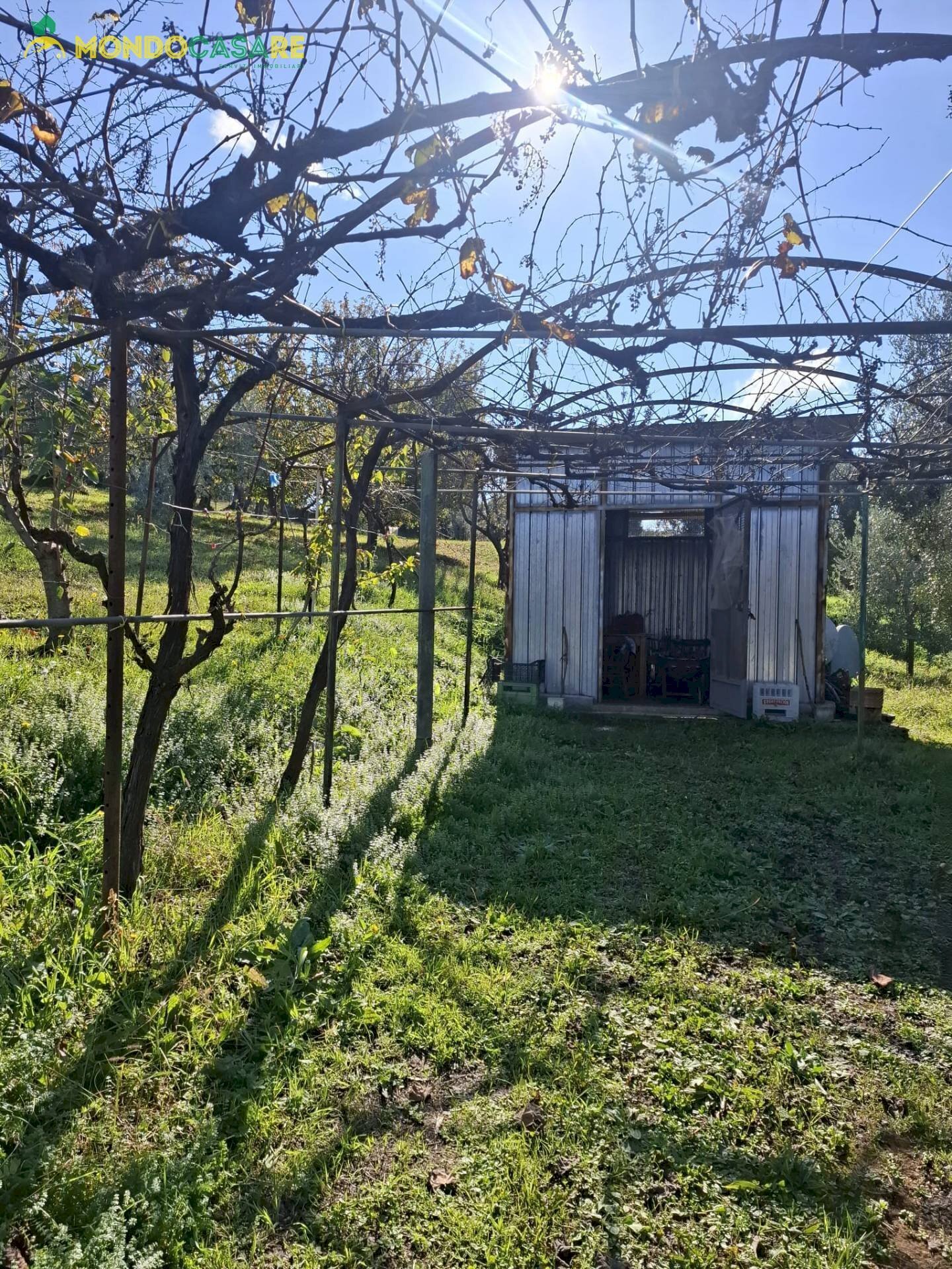 Foto 1 - Terreno agricolo Palombara Sabina - foto 1