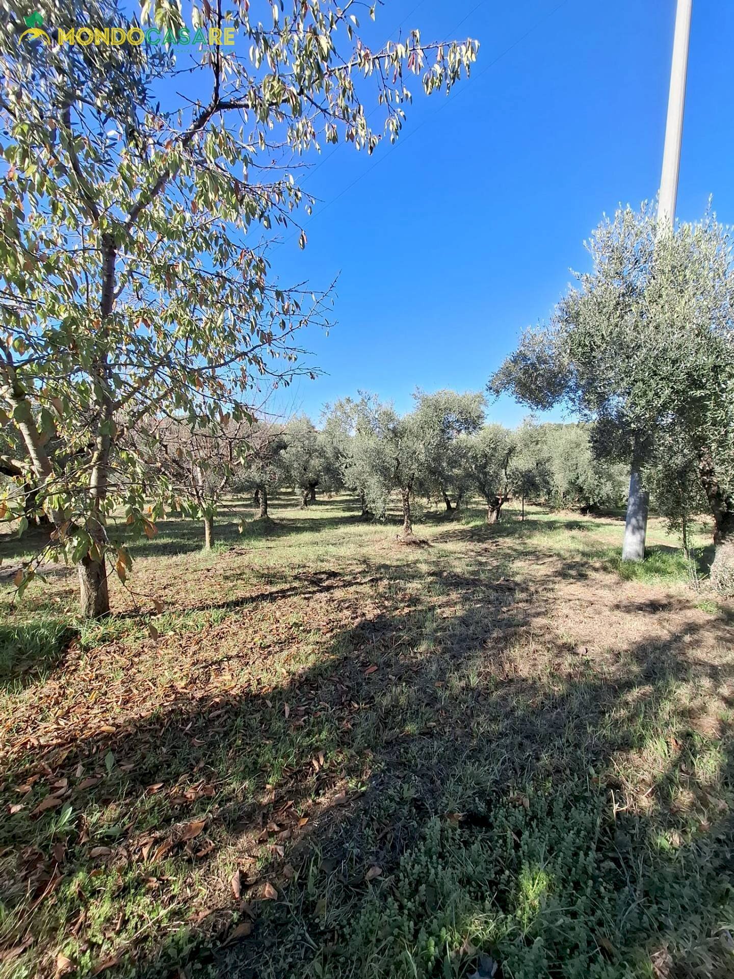 Foto 2 - Terreno agricolo Palombara Sabina - foto 2