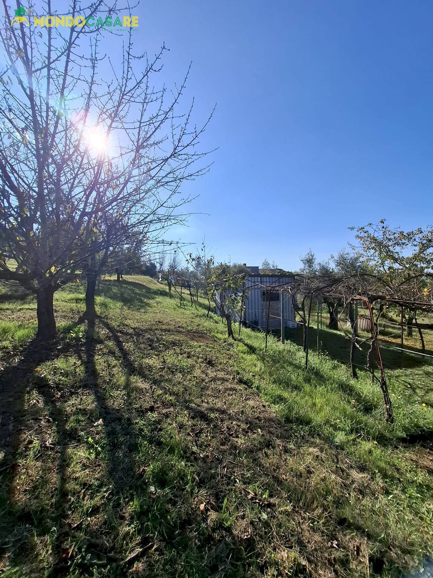 Foto 3 - Terreno agricolo Palombara Sabina - foto 3