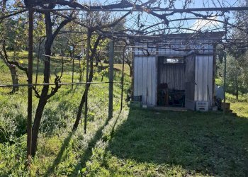 Foto 1 - Terreno agricolo Palombara Sabina - foto 1