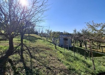 Foto 3 - Terreno agricolo Palombara Sabina - foto 3