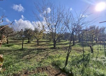 Foto 4 - Terreno agricolo Palombara Sabina - foto 4