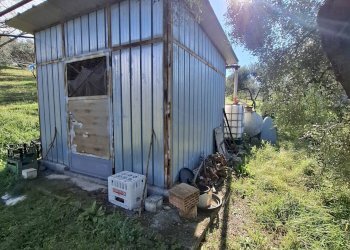 Foto 5 - Terreno agricolo Palombara Sabina - foto 5