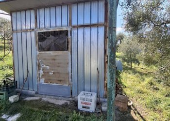 Foto 7 - Terreno agricolo Palombara Sabina - foto 7