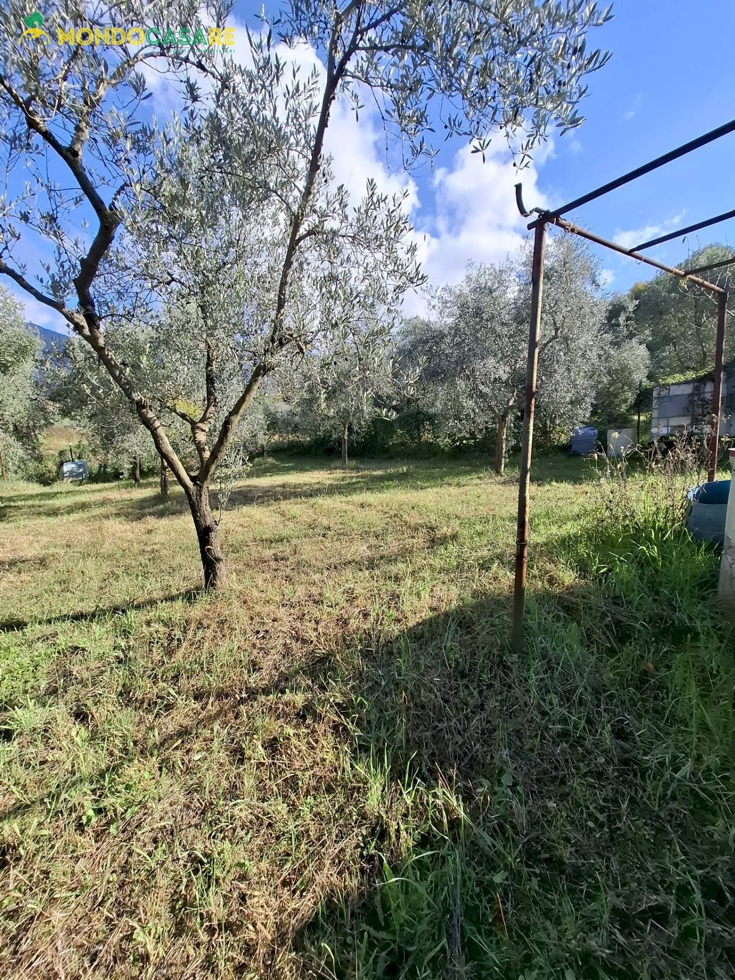 Foto 2 - Terreno agricolo Palombara Sabina - foto 2