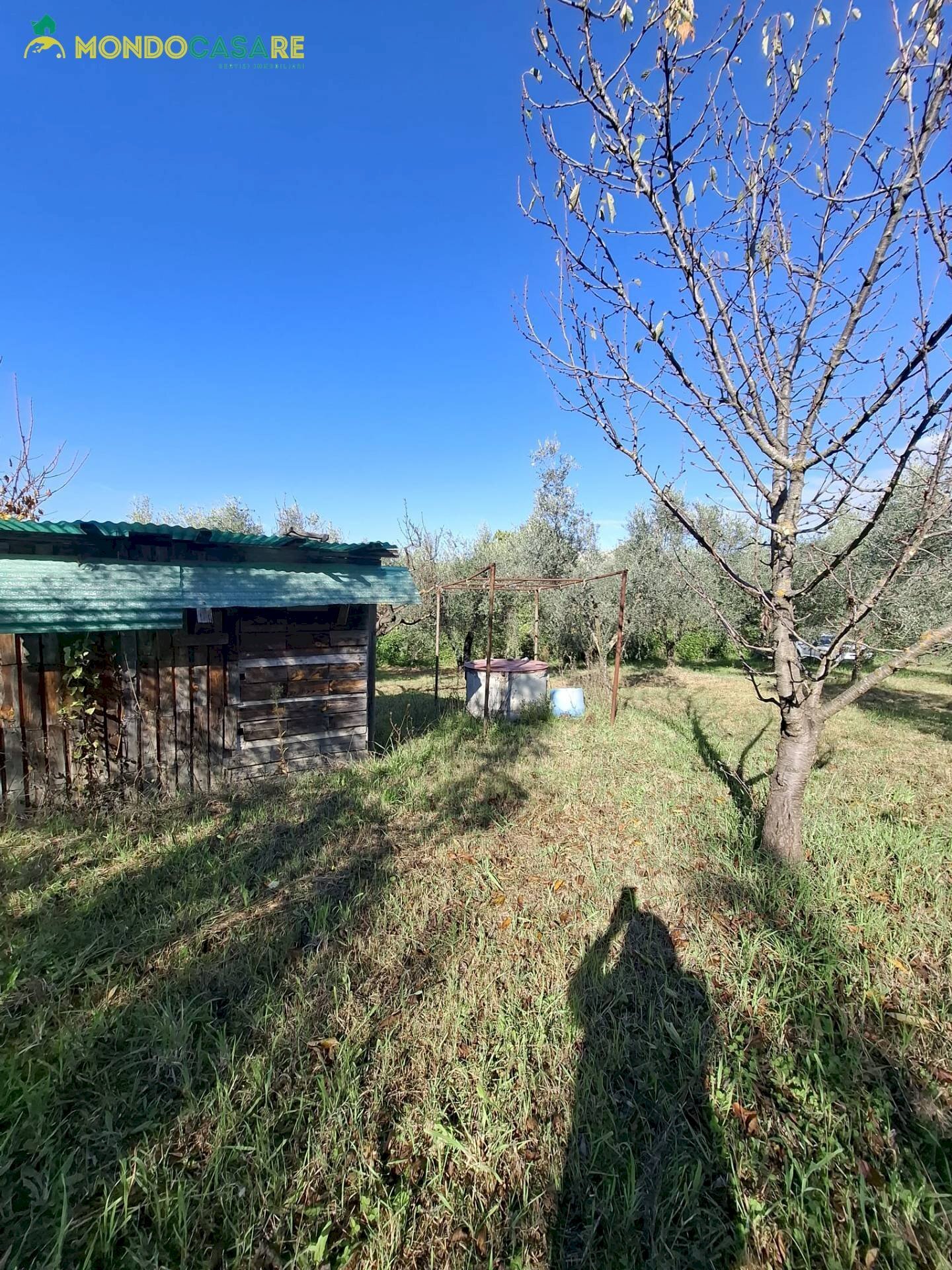 Foto 3 - Terreno agricolo Palombara Sabina - foto 3