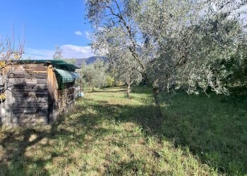 Foto 1 - Terreno agricolo Palombara Sabina - foto 1