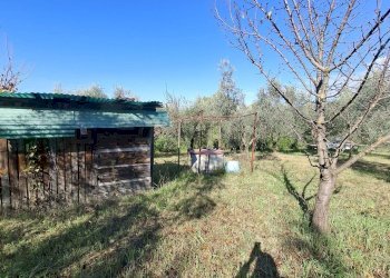 Foto 3 - Terreno agricolo Palombara Sabina - foto 3