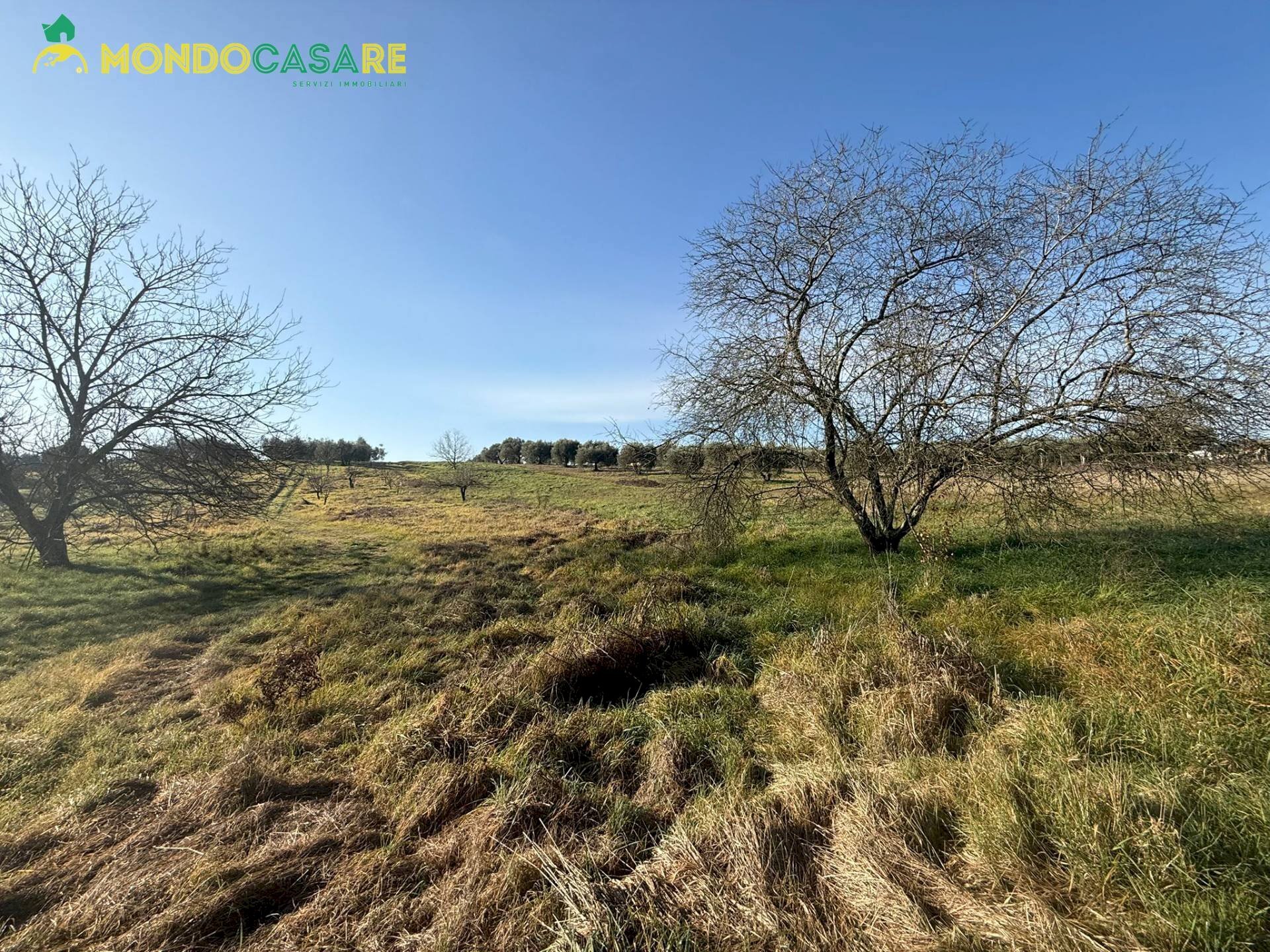 Foto 3 - Terreno agricolo via dei marsi
 
snc, Palombara Sabina - foto 3