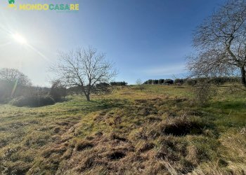 Foto 1 - Terreno agricolo via dei marsi
 
snc, Palombara Sabina - foto 1