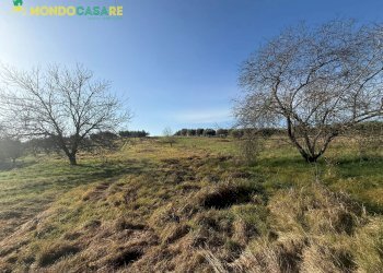 Foto 2 - Terreno agricolo via dei marsi
 
snc, Palombara Sabina - foto 2