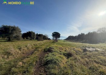 Foto 4 - Terreno agricolo via dei marsi
 
snc, Palombara Sabina - foto 4