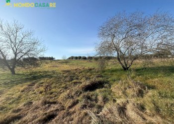 Foto 6 - Terreno agricolo via dei marsi
 
snc, Palombara Sabina - foto 6