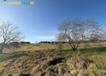 Foto 7 - Terreno agricolo via dei marsi
 
snc, Palombara Sabina - foto 7