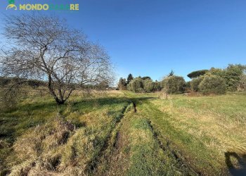 Foto 8 - Terreno agricolo via dei marsi
 
snc, Palombara Sabina - foto 8