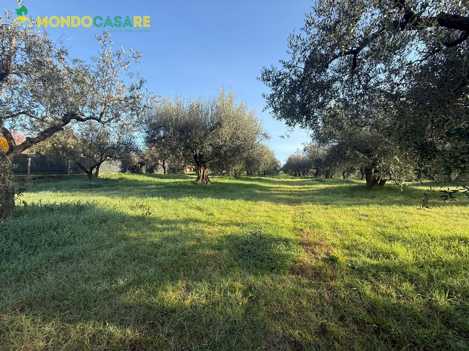 Foto 3 - Terreno agricolo strada dello storello
 
snc, Palombara Sabina - foto 3