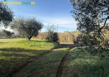 Foto 2 - Terreno agricolo strada dello storello
 
snc, Palombara Sabina - foto 2