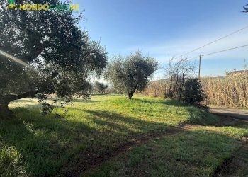 Foto 4 - Terreno agricolo strada dello storello
 
snc, Palombara Sabina - foto 4