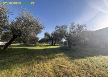 Foto 5 - Terreno agricolo strada dello storello
 
snc, Palombara Sabina - foto 5