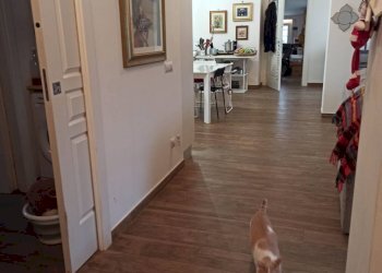 Foto 15 - Appartamento strada di colle pedeschiavo
 
12, Palombara Sabina - foto 15