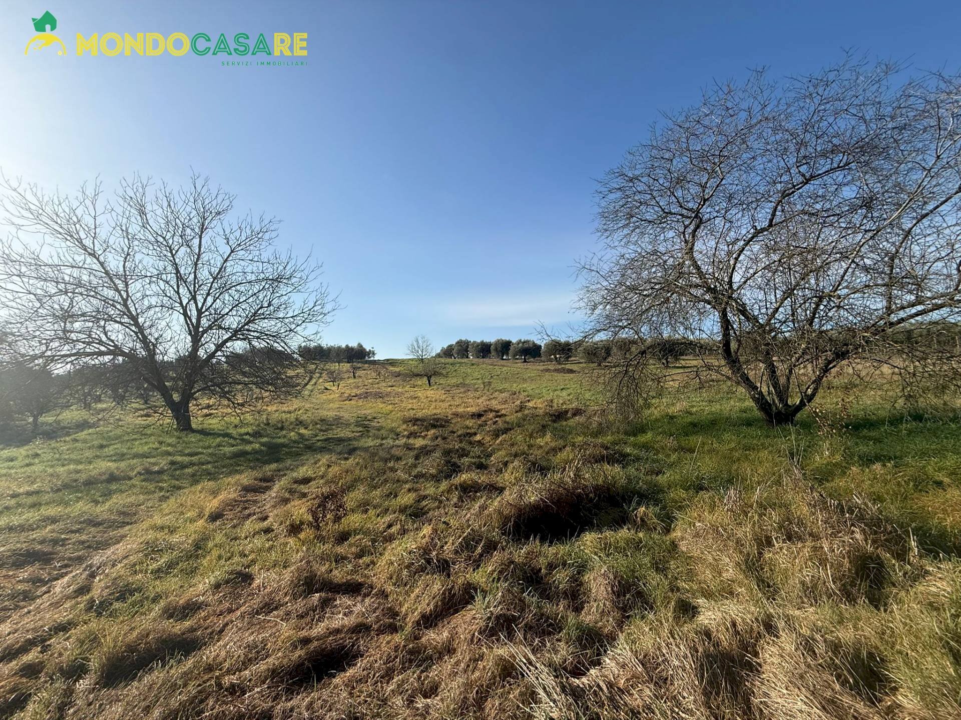 Foto 2 - Terreno agricolo strada beato tommaso da cori, Palombara Sabina - foto 2