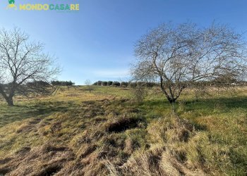 Foto 3 - Terreno agricolo strada beato tommaso da cori, Palombara Sabina - foto 3