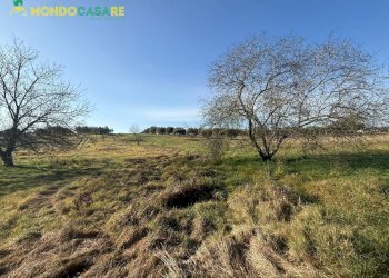 Foto 4 - Terreno agricolo strada beato tommaso da cori, Palombara Sabina - foto 4