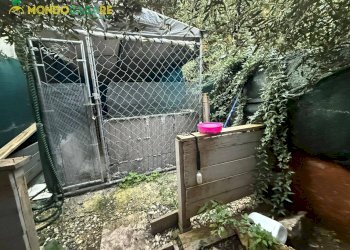 Foto 21 - Bilocale Crso Vittorio Emanuele, Marcellina - foto 21