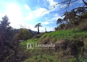 Foto 1 - Casa indipendente via scarpone, Camaiore - foto 1