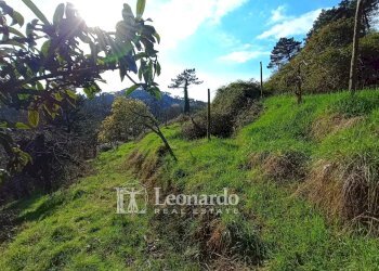 Foto 24 - Casa indipendente via scarpone, Camaiore - foto 23