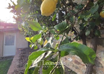 Foto 44 - Villa via del campisano, Massarosa - foto 43