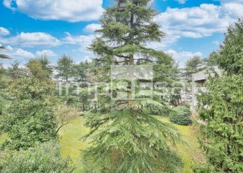 Foto 13 - Appartamento Via Manin, Conegliano - foto 13