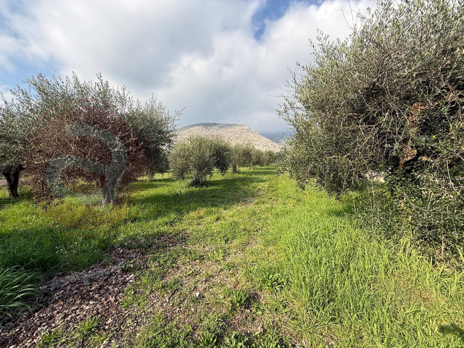 Foto 3 - Casa indipendente Via Petrone
142, Piedimonte San Germano - foto 3